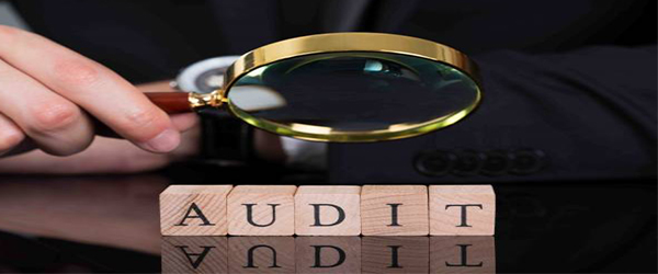 Audit company – giải pháp tối ưu cho những nhà quản lý tài ba